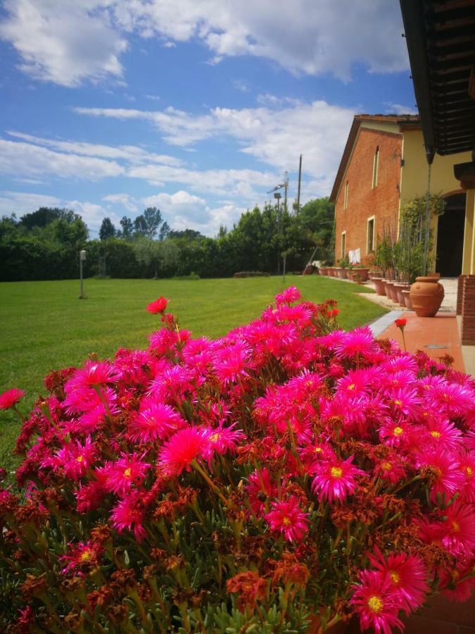 B&B La Fornace Del Sole Capannori Exterior foto